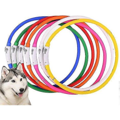 Filiyano-Collier lumineux USB pour animaux de compagnie, collier anti-perte pour chien, bleu (1/3)