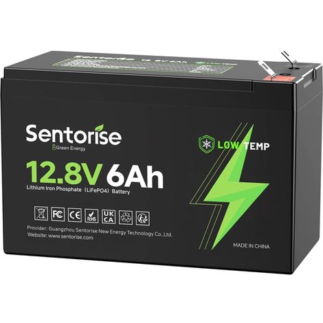 Batterie au lithium LiFePO4 12V 6Ah, 3000+ cycles profonds pour voiture électrique enfant, jouets à cheval, sondeur de poisson (1/5)