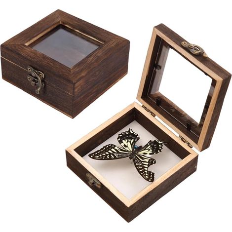 2 Petite Boîte à Bijoux en Bois de 10x10x4.5cm avec Couvercle en Verre Style Vintage Boîte de Rangement Décorative Verrouillable pour Spécimens D'Insectes Idéale pour Les Loisirs Créatifs (1/5)