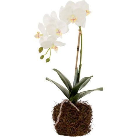 Fleur Artificielle Déco "Orchidée en Terre" 40cm Blanc (1/2)