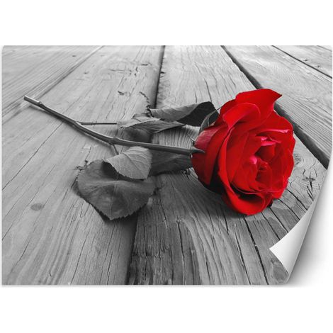 Carta Da Parati, Fiori di rosa rossa retrಠ- 100x70 (1/5)
