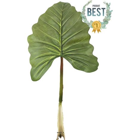 Feuille d'Alocasia, Songe Caraïbe artificielle, H 91 cm - BEST (1/4)