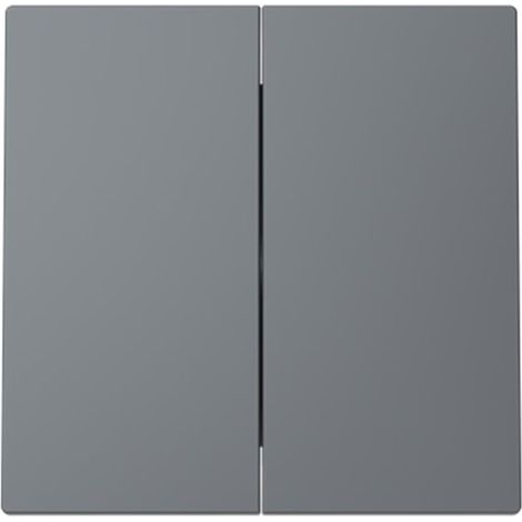 Tecla doble interruptor-conmutador Serie Alba de Niessen  Gris (1/3)