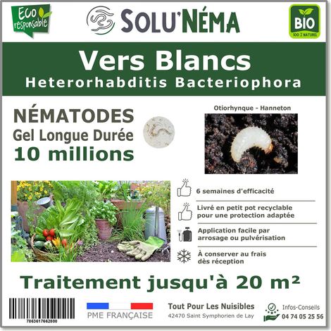 Traitement contre les vers blancs (otiorhynque,hanneton) - 10 millions Nématodes HB