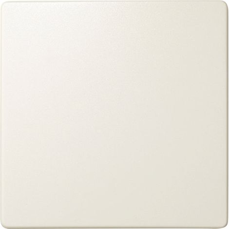 Tecla Simon 82 interruptor/conmutador 82010  Marfil 82010-31 (1/5)