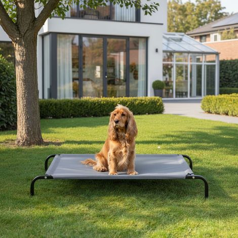 belviona Hundeliege erhöht, wetterfestes Outdoor-Hundebett mit stabilem Metallrahmen, atmungsaktiv & pflegeleicht, 106x62 cm, grau (1/5)