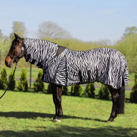 Coperta anti-mosche York zebra traspirante protezione insetti 135 cm