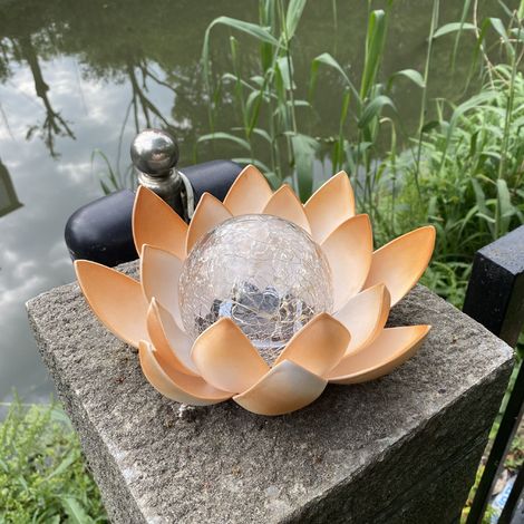 Nouvelle lampe solaire de jardin, lampe solaire d'extérieur, lampe solaire lotus, lampe décorative pour cour (perles ambrées, lampe solaire de pelouse) (1/5)