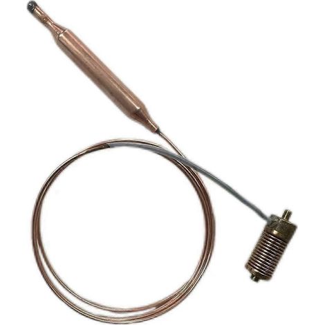 Sonde de température pour four électrique - Composant d'alimentation sensible -- (1/5)