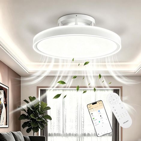 Ceiling Fan with 74W LED Light, Dimmable and Quiet, 6 Speeds with Remote Control Timer, Reversible Summer/Winter Function, Ceiling Lamp Fan for Bedroom and Living Room (1/5)