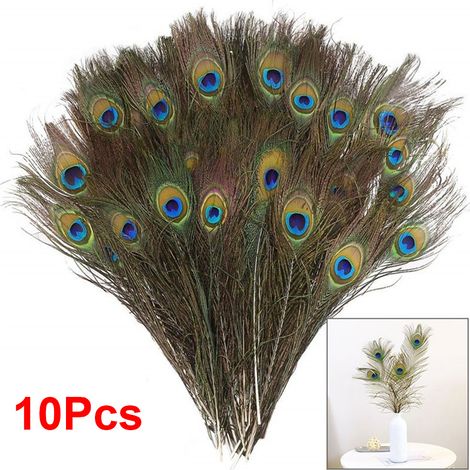 10 Plumes de Paon Naturelles pour Décoration de Mariage, Loisirs Créatifs et Fêtes (1/5)