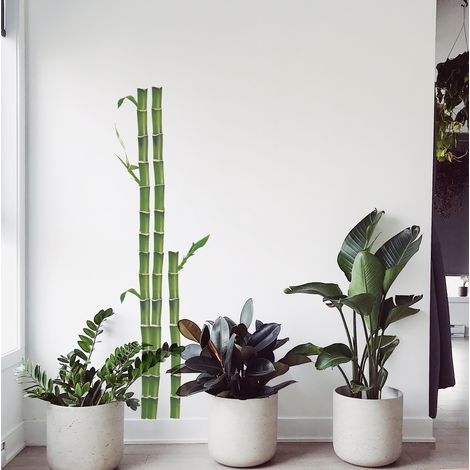 Sticker autocollant décoratif Zen, 68 cm X 24 cm, illustration de bambous verts. Décorez votre intérieur avec ce produit unique. (1/2)
