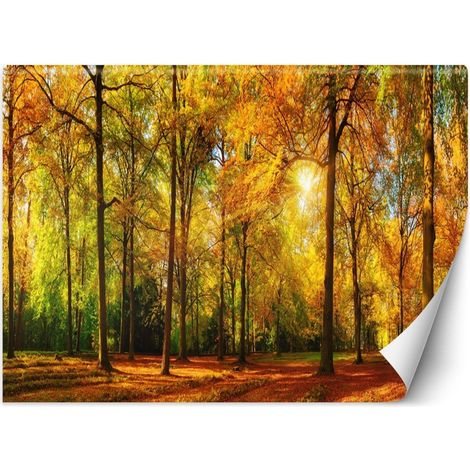 Papier peint forêt d'automne - 450 x 315 cm (1/4)