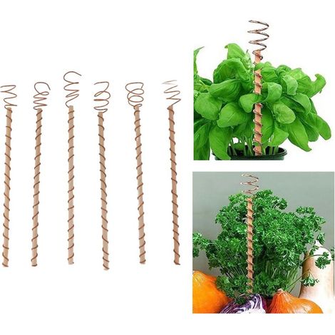 Lot de 6 tuteurs spiralés en cuivre pour électroculture, assurant un support stable aux plantes, fruits et légumes de jardin.