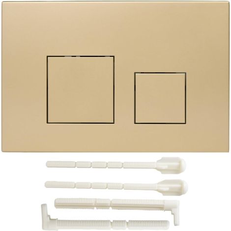 Double plaque de chasse d'eau noire pour 01 20 (1/5)