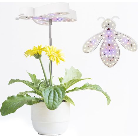Lampe de croissance pour plantes, lampe LED à spectre complet pour plantes d'intérieur, hauteur réglable, minuterie automatique (interrupteur non inclus)-AquaForge (1/4)