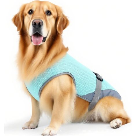 Chaqueta refrescante para perros: ropa fresca para perros para el verano, chaqueta transpirable y ajustable para razas pequeñas y medianas, senderismo, camping y viajes (1/5)