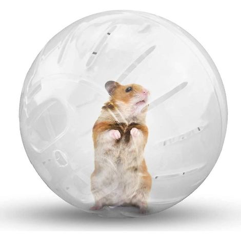 rongeurs, Ballon De Course Pour Hamster, Sports De Rongeurs En Plastique, 18 Cm, Transparent (1/5)