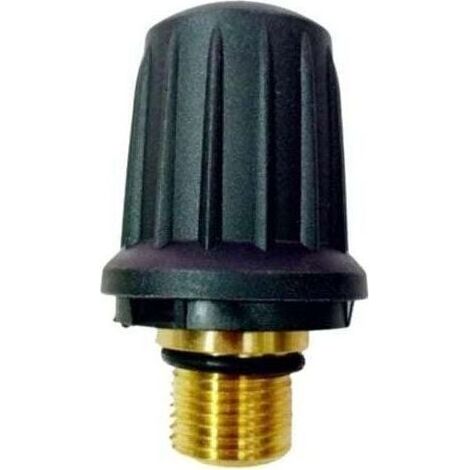 Pair Bouchon de soupape de sécurité en laiton de rechange 4.590-105.0 pour nettoyeur vapeur Karcher SC1.010 SC1.020 SC2.000 SC3.000 Series Accessoires Bouchon de sécurité de remplacement c (1/5)
