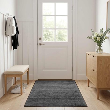 Tapis d'entrée Gris clair 60 x 40 cm 100% Polyamide (1/4)