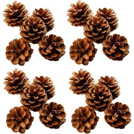 Tannenzapfen – Naturgetrocknet – 3 bis 4 cm – Naturweiß – Für Weihnachtsdekorationen, Kränze, Weihnachtsbäume und Bastelprojekte – 48er-Packung (1/5)