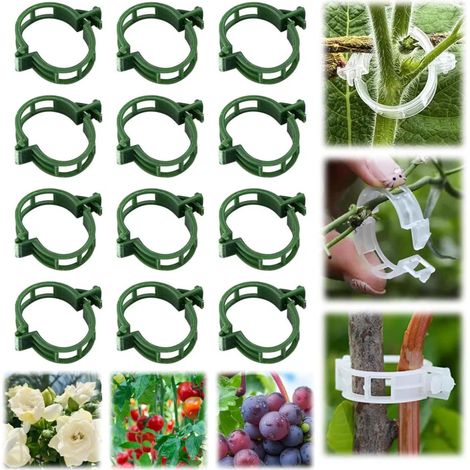 100er-Packung 2025 Verbesserte Pflanzenclips aus Kunststoff für Kletterpflanzen wie Tomaten, Weinreben und Gemüse (1/5)