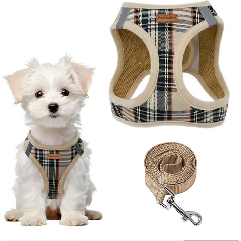 Small Dog Harness with Leash Step-in Puppy Harness Beige XS (1/5)