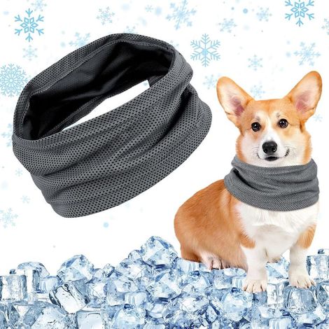 Cooling dog bandana, cooling collar, cooling dog scarf, for cooling in summer (M) (1/5)