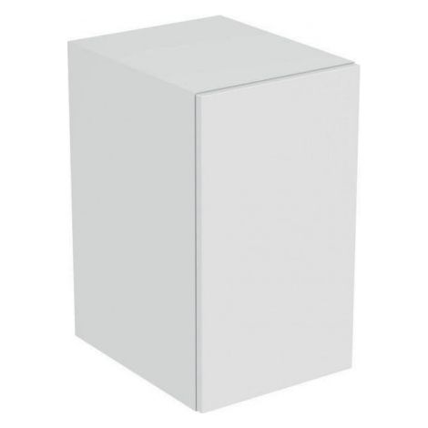 Porte TONIC II 350 mm laquée marron clair pour meuble haut droit IDEAL STANDARD (1/4)
