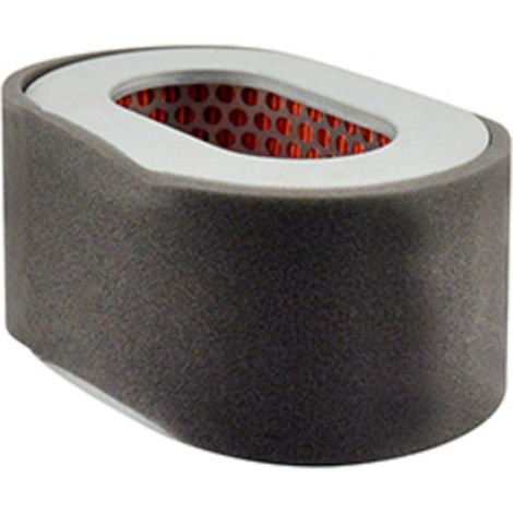 Filtre A Air BALDWIN PA4886 - Equivalent SA 12156 HIFI FILTER