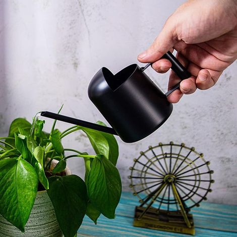 Arrosoir à long bec en acier inoxydable, petit arrosoir, adapté aux plantes succulentes et aux fleurs, usage intérieur et extérieur (300 ml, noir) (1/5)