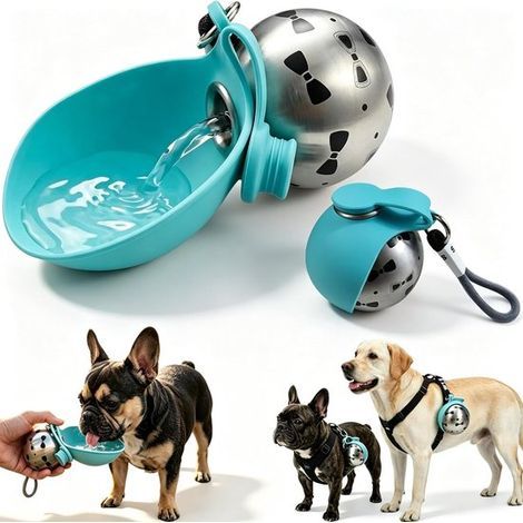 Tragbare Hunde-Trinkflasche – 285 ml – Edelstahl 304 und Silikon – 2-in-1-Modell mit integriertem Becher (1/5)