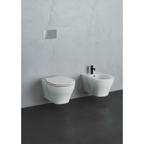 Sanitari XL sospesi rialzati senza brida h.49 con sedile standard (1/4)
