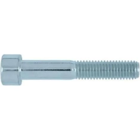 Viti metalliche bianche 5x40 mm, scatola da 200 unità