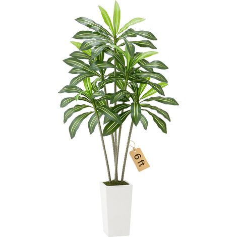 Dracaena Artificiel, 1,8 m, Plante Artificielle Tropicale en Pot Blanc, Faux Arbre Tropical, Fausse Plante Feuilles Polyéthylène pour Décoration d'Intérieur, Salon, Bureau, Intérieur, Extérieur (1/5)