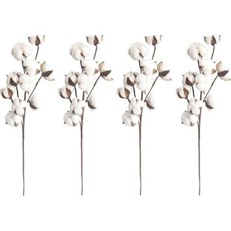 4 tiges de coton blanc naturel, 10 capsules de coton par tige, 53,3 cm, pics à fleurs, style campagnard, décoration. (1/5)