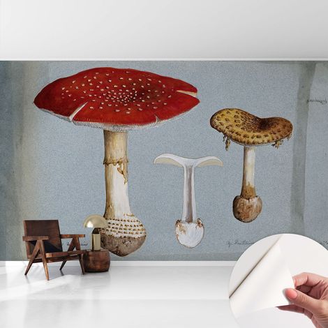 Papier peint autocollant adhésif avec imprimé motifs uniques apparence moderne Gravures de champignons 416x254 cm (1/5)