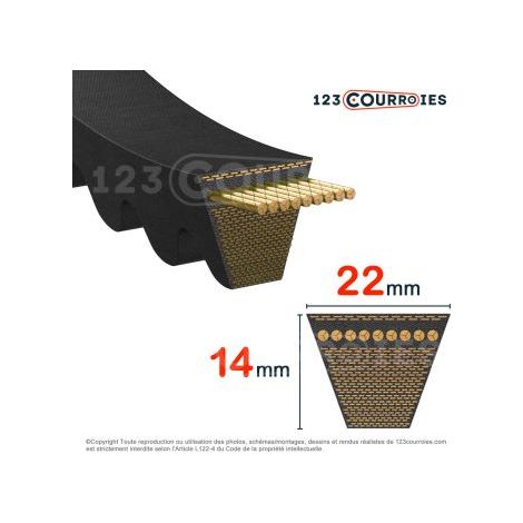 Courroie trapézoidale crantée Contitech Conti V FO CX59 22 x 1499 Li / 1558 Ld