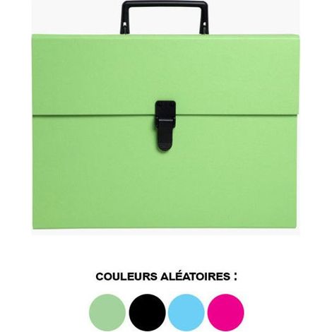 Trieur A4 Maxi - Exacompta - 20 Compartiments - 240 x 320 mm - Différents Coloris - Économique (1/5)