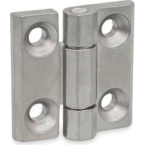Charnière pour charges lourdes en acier inoxydable NI, argent, 50 x 50 mm (1/4)