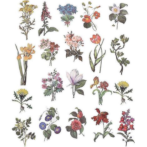 Lot de 5 autocollants pour plantes (1/3)