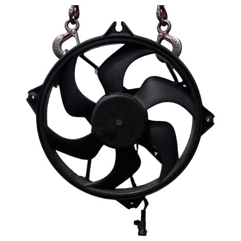 [PRODUIT D'OCCASION] Moteur Ventilateur Radiateur PEUGEOT 307 2001-2005 ♻️ Ref Oe. 1253c0 - Garantie à vie (1/3)