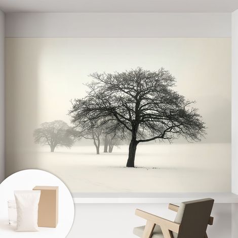Papier peint intissé mural avec colle pour salon et chambre Décoration murale rapide - Colle incluse gratuite Arbres en hiver 152x104 cm (1/5)