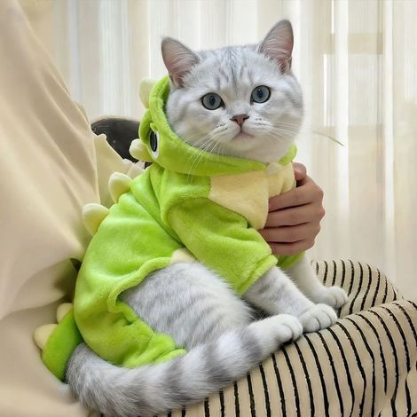 Abbigliamento per gattini - abbigliamento per gatti - abbigliamento per cani di piccola taglia - guinzaglio e calore - imbottito - abbigliamento per animali domestici - XL [Consigliato per 4,5 - 6 kg (1/3)