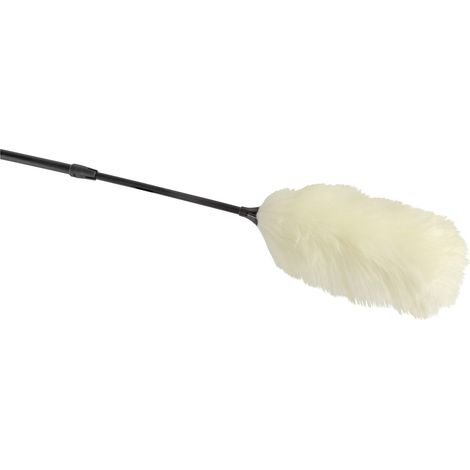 Coronet Staubwedel reine Schafswolle mit Teleskopstiel Staubreinigung (1/2)