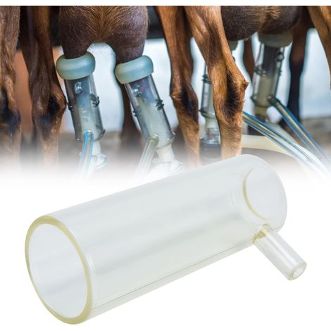 Gobelet à traire en plastique pour moutons et chèvres, accessoire pour machine à traire. (1/5)