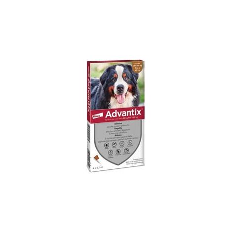 ANTIPARASSITARIO ADVANTIX PER CANI OLTRE KG.40  in conf. da 6 pipette SPOTON    ADVANTIX