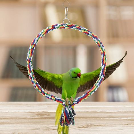 Perchoir rond en corde pour perroquet, support balançoire, jouet à mâcher, accessoire de décoration pour cage à oiseaux (grand format) (1/5)