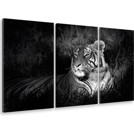 Tableau triptyque Tableau photo tigre au repos - 90x60 cm (1/5)