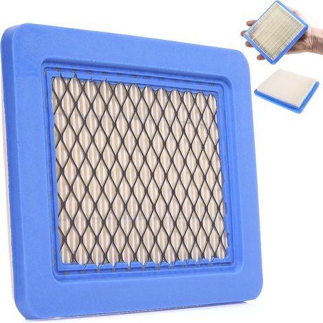 Filtre à air pour Briggs & Stratton 399959 (1/5)